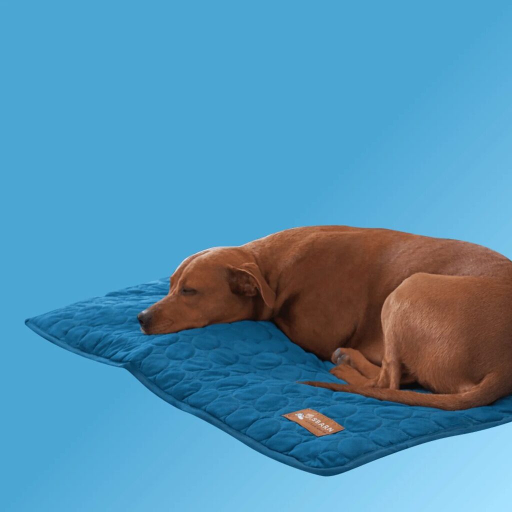 Pet Product Reviews